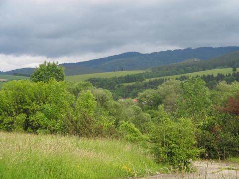 17 Rakytovec 867 m. n. m.