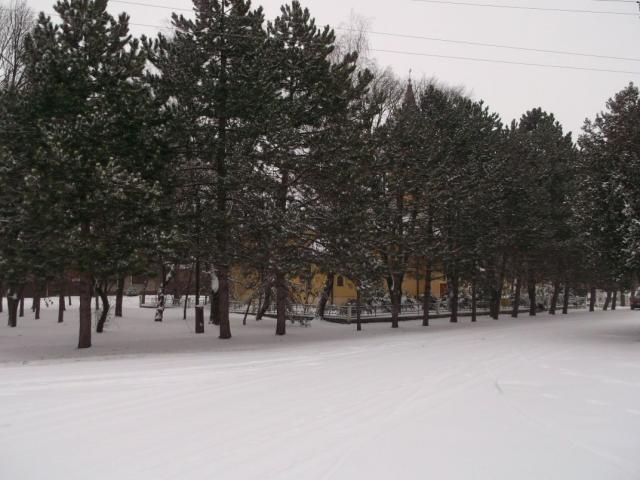 01 Park