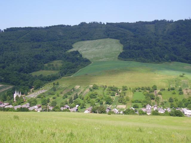 04