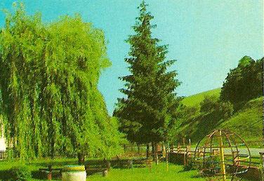004 Detský park
