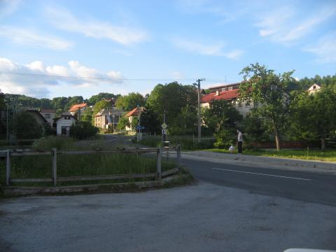 06