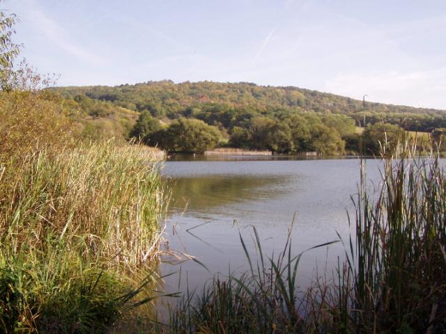 Vodná nádrž Lipovina 12