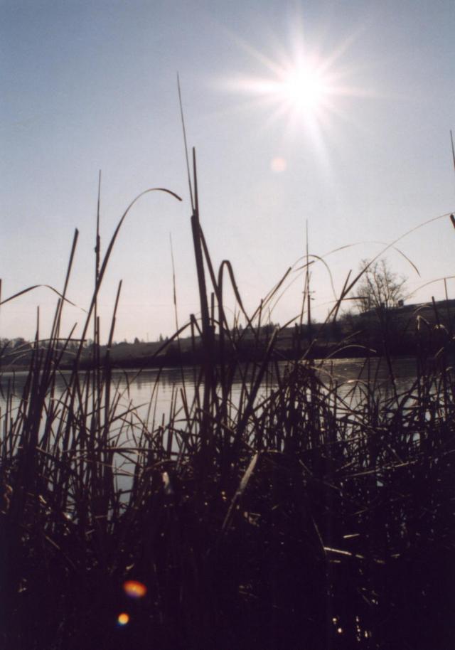 06 Rybník
