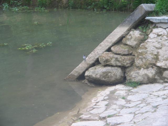 09 Živá a neživá krása
