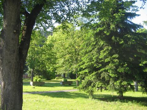 11 V obci - zelený park 1