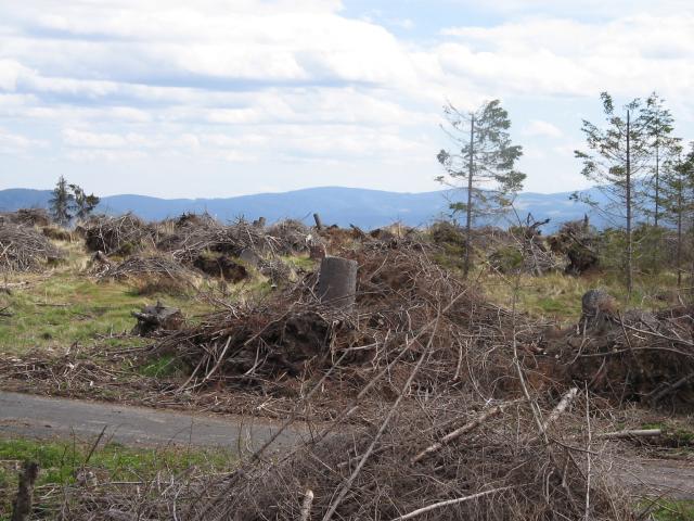 09 Dôsledky 19. novembra 2004