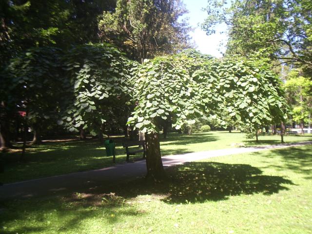 12 Kúpeľný park