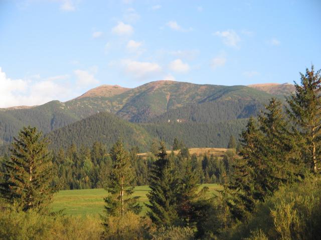 13 Brestová,Zuberec, Pálenica a Salatín 2048 m od Zuberca