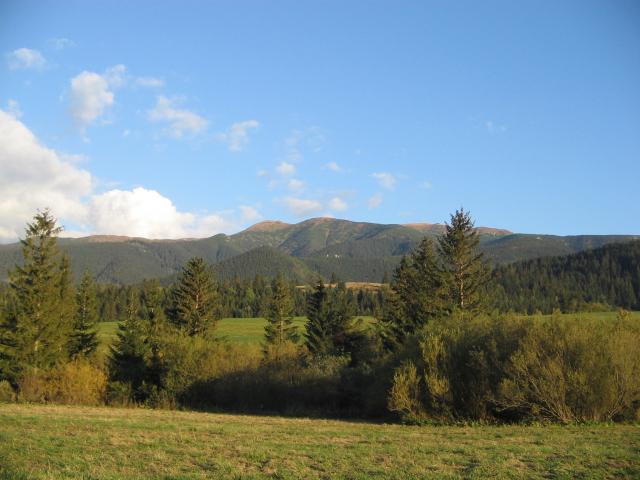 14 Brestová,Zuberec, Pálenica a Salatín 2048 m od Zuberca