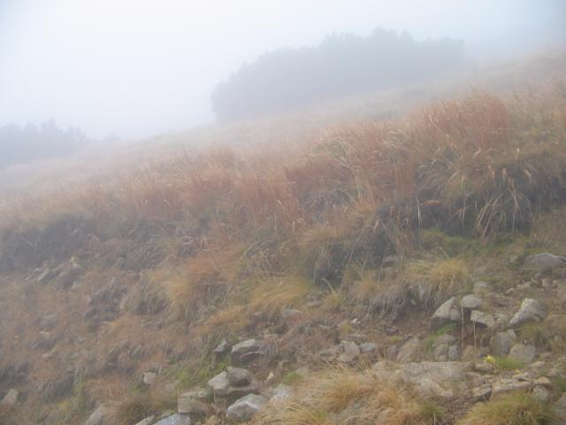 43 Luková 1678 m. n m