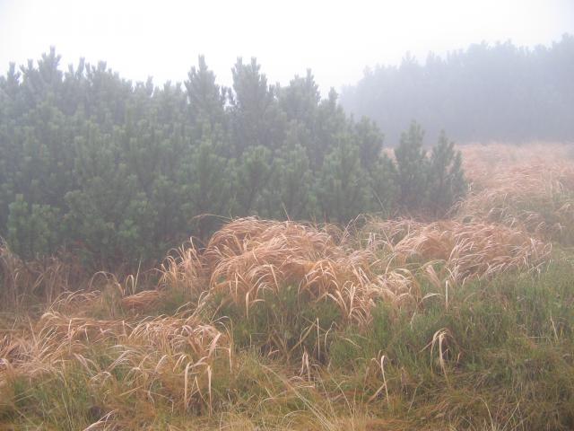 47 Luková 1678 m. n m