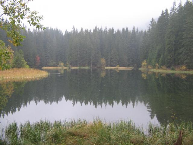 22 Vrbické  pleso
