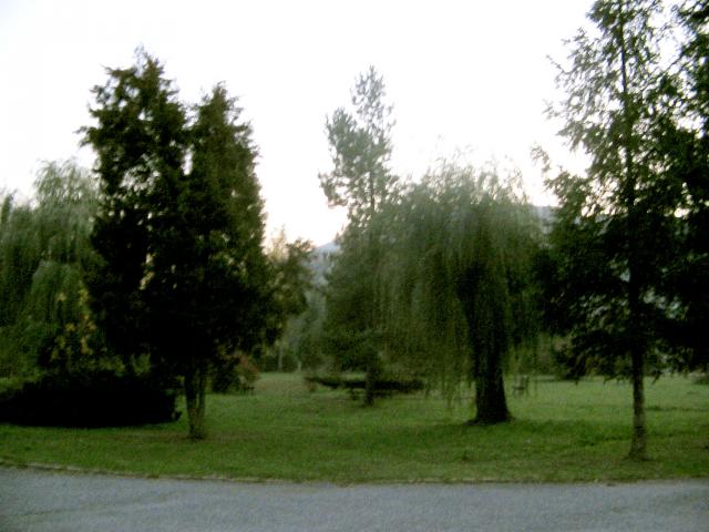 09 Park