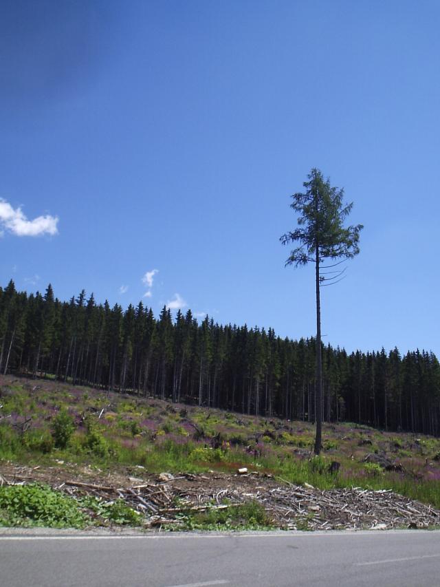 21 Krása pod Tatranskou magistrálou