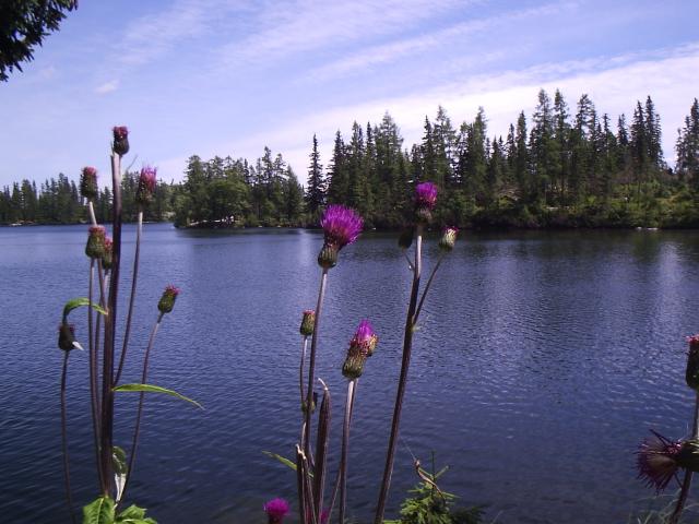 36 Štrbské pleso