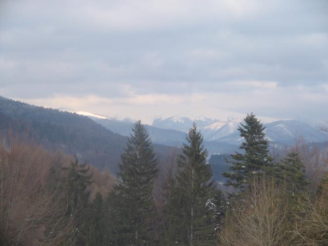 15 Zima