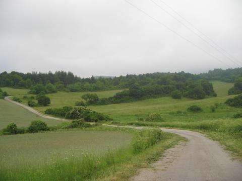 25
