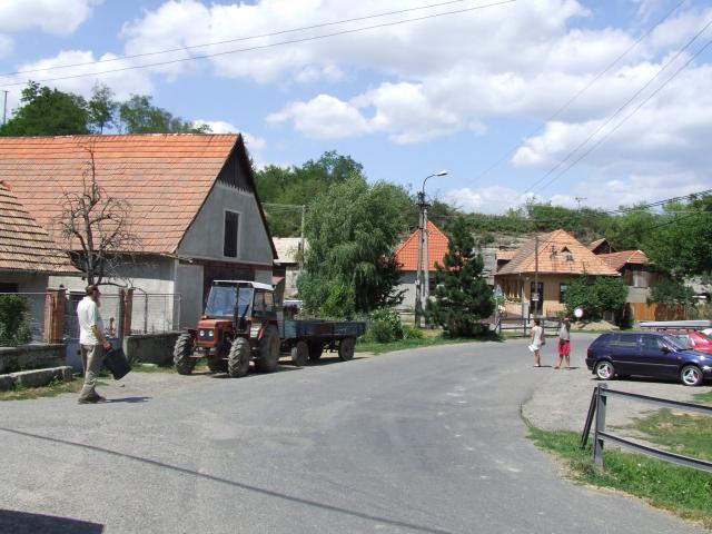 03 