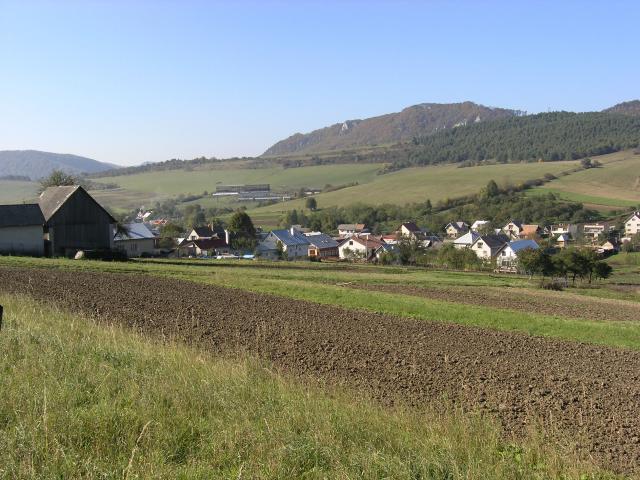 05