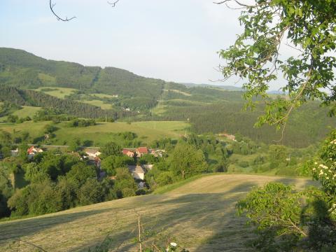 08