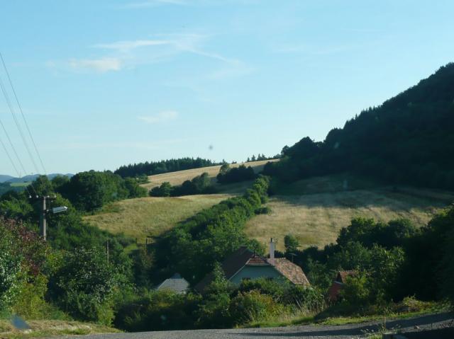 30