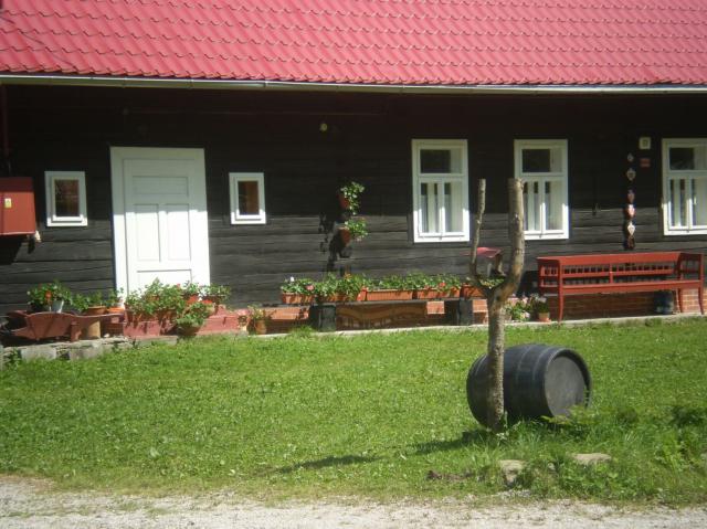 11 Drevenica