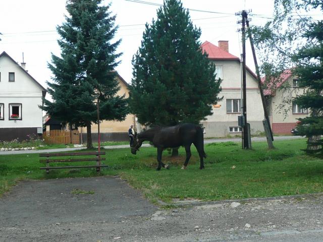 09