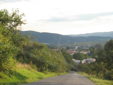 09