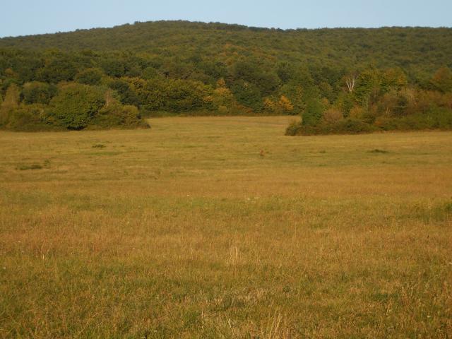 03 Pohľad z obce na sopku Vihorlat