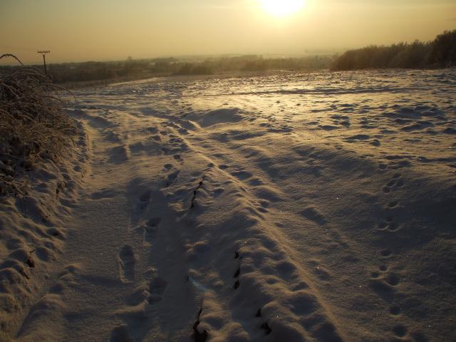 08 Zimná krajina na Lapoši