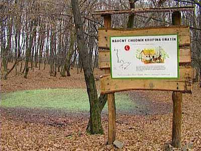 04 Močiar a chodník