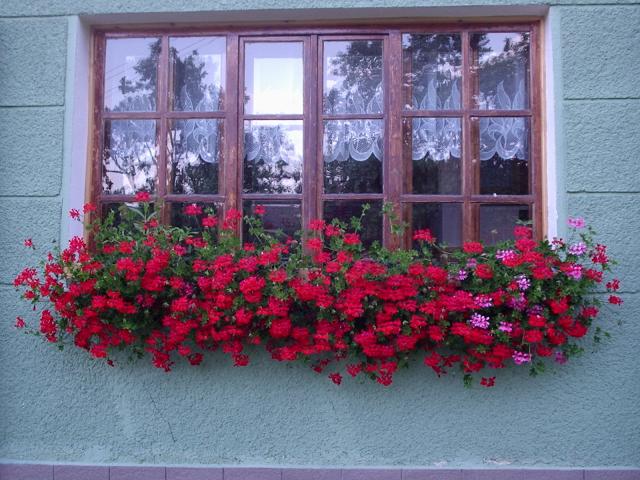 05 Dedinské okno v lete