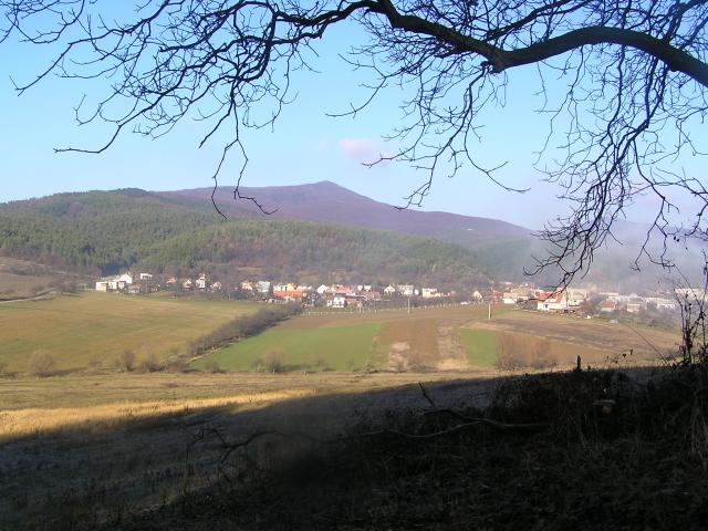 04