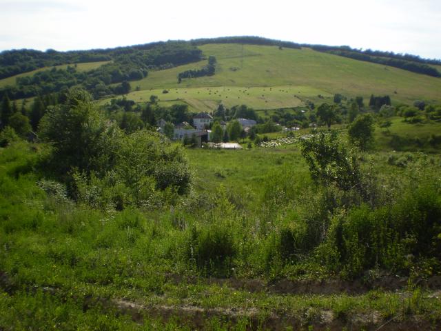 05