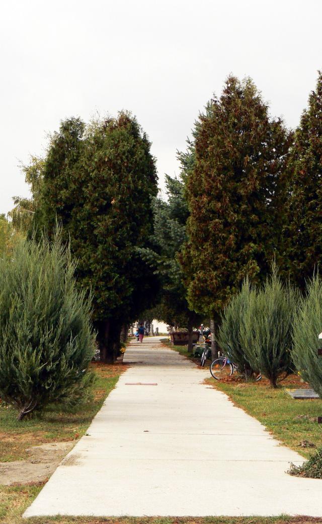 08 Cesta cez miestny cintorín
