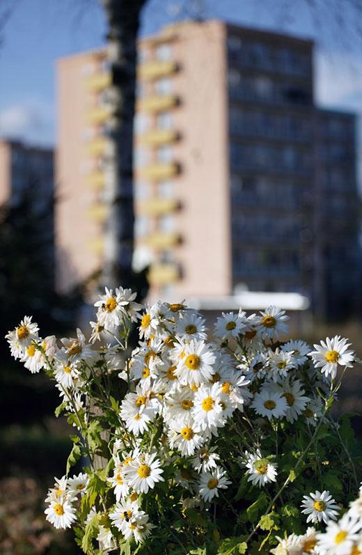 50 Strojárska