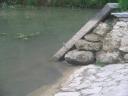 Lúčky - 09 Živá a neživá krása