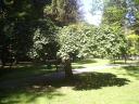 Turčianske Teplice - 12 Kúpeľný park